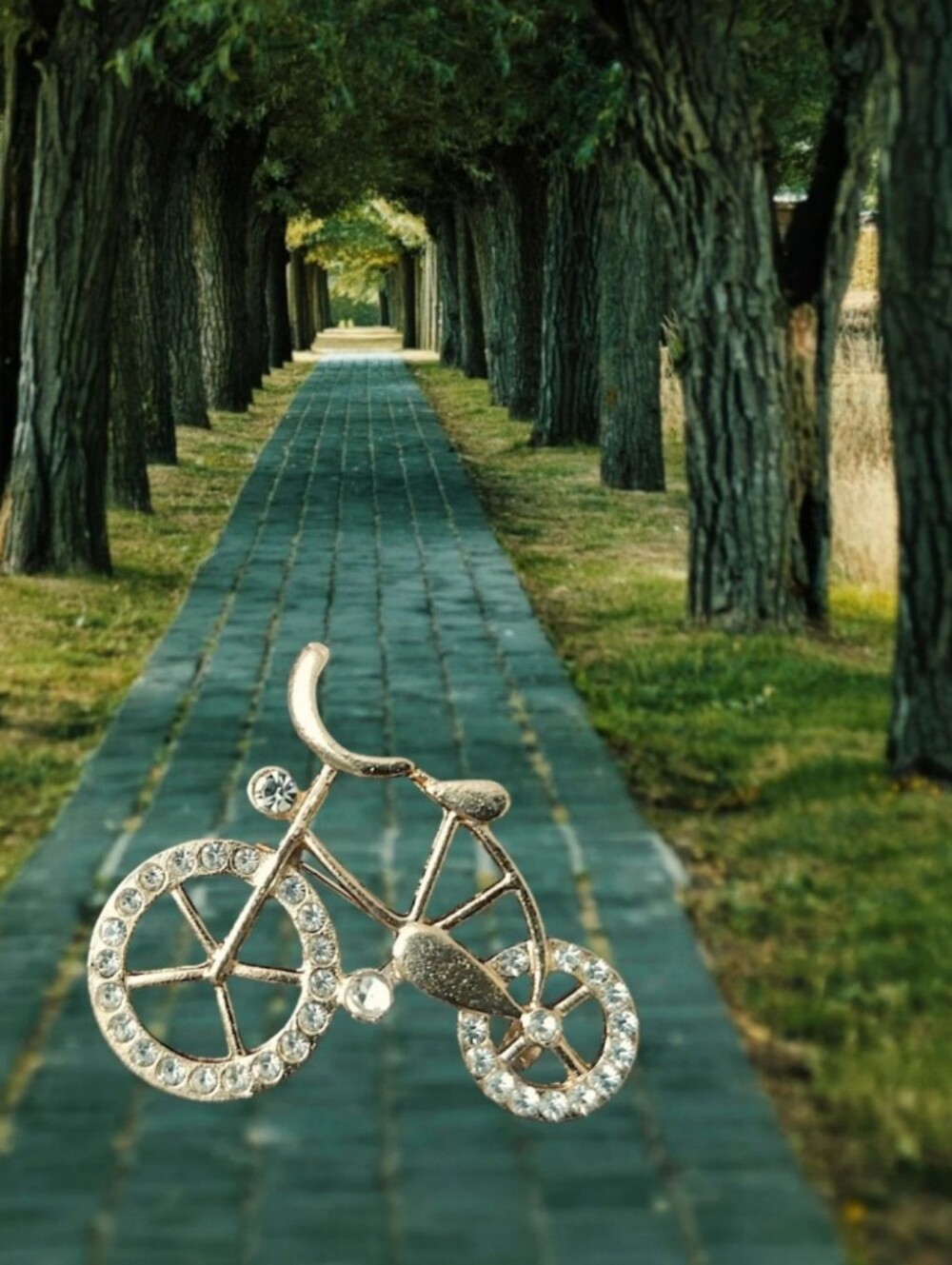 Rhinestone Bicycle Brooch